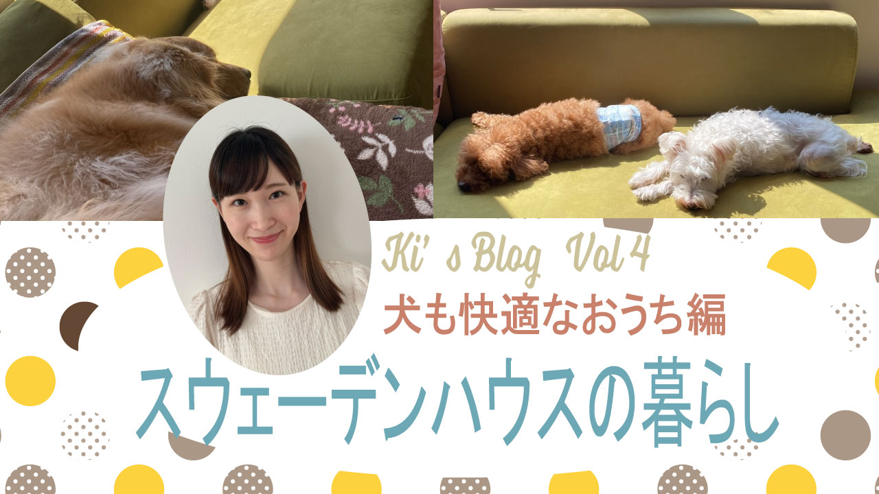 【きいさんのスウェーデンハウスの暮らし】犬も快適なお家